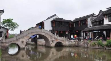 救援卷耳兔